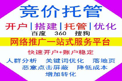 SEM服务案例：提升企业竞争力